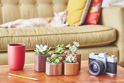 Ullamcorper sit amet ligula